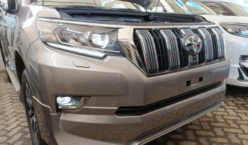 
									Toyota Prado TX L full								